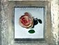 LU Zhengyuan The Order of An Artificial Flower  oil on canvas 45x45(with frame) cm 2011